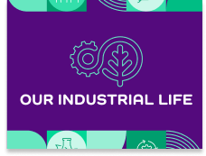 Our Industrial Life