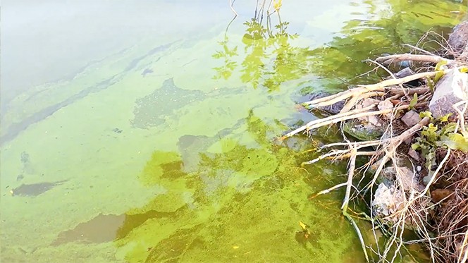 Transformation der Arbeitsweise