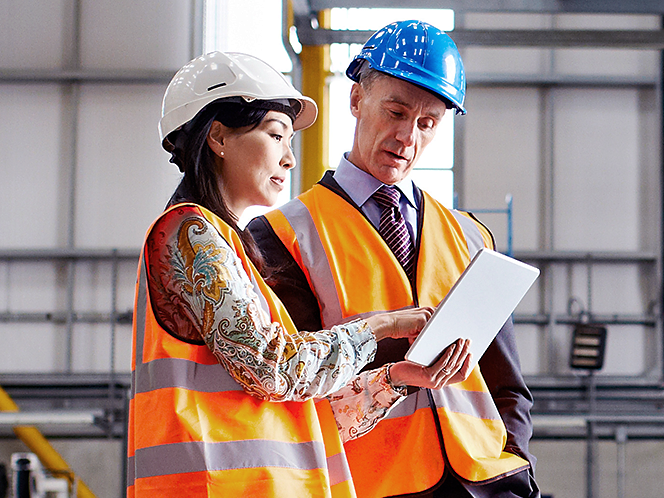 A transformação industrial da celulose e do papel